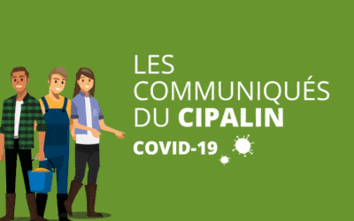 COVID 19 – information filière : les communiqués du CIPALIN