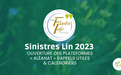 SINISTRES LIN 2023